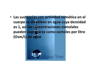 • Las sustancias con actividad osmótica en el 
cuerpo se disuelven en agua cuya densidad 
es 1, así las concentraciones osmolales 
pueden expresarse como osmoles por litro 
(Osm/L) de agua 
 