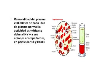 • Osmolalidad del plasma 
290 mOsm de cada litro 
de plasma normal la 
actividad osmótica se 
debe al Na+ y a sus 
aniones acompañantes, 
en particular Cl- y HCO3- 
 