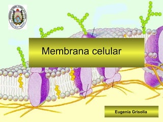 Membrana celular Eugenia Grisolia  