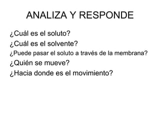 ANALIZA Y RESPONDE
¿Cuál es el soluto?
¿Cuál es el solvente?
¿Puede pasar el soluto a través de la membrana?
¿Quién se mueve?
¿Hacia donde es el movimiento?
 