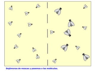 Dejémonos de moscas y pasemos a las moléculas.
 
