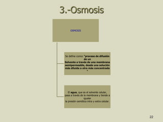 22
3.-Osmosis
OSMOSIS
Se define como: "proceso de difusión
de un
Solvente a través de una membrana
semipermeable, desde una solución
más diluida a otra más concentrada
"
El agua, que es el solvente celular,
pasa a través de la membrana y tiende a
igualar
la presión osmótica intra y extra celular.
 