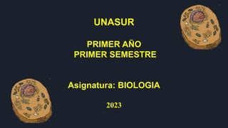 UNASUR
PRIMER AÑO
PRIMER SEMESTRE
Asignatura: BIOLOGIA
2023
 