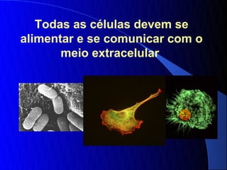 Todas as células devem se
alimentar e se comunicar com o
       meio extracelular
 