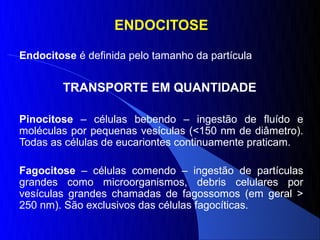 ENDOCITOSE

Endocitose é definida pelo tamanho da partícula


        TRANSPORTE EM QUANTIDADE

Pinocitose – células bebendo – ingestão de fluído e
moléculas por pequenas vesículas (<150 nm de diâmetro).
Todas as células de eucariontes continuamente praticam.

Fagocitose – células comendo – ingestão de partículas
grandes como microorganismos, debris celulares por
vesículas grandes chamadas de fagossomos (em geral >
250 nm). São exclusivos das células fagocíticas.
 