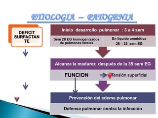 Hemorragia de IIIº trimestre.
