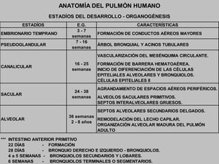Bicarbonato: 2.8 mEq./L.