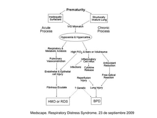 Medscape. Respiratory Distress Syndrome. 23 de septiembre 2009
 