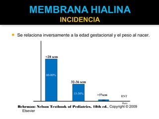   Se relaciona inversamente a la edad gestacional y el peso al nacer.



                   <28 sem




                   60-80%

                                 32-36 sem


                                  15-30%       >37sem        RNT
                                                  5%
                                                             Raro
    Behrman: Nelson Textbook of Pediatrics, 18th ed., Copyright © 2009
      Elsevier
 