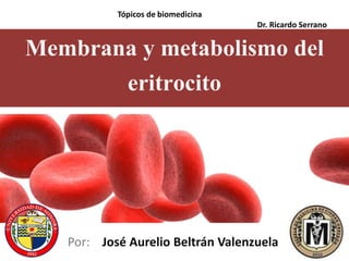 Tópicos de biomedicina 
Dr. Ricardo Serrano 
Membrana y metabolismo del 
eritrocito 
Por: José Aurelio Beltrán Valenzuela 
 