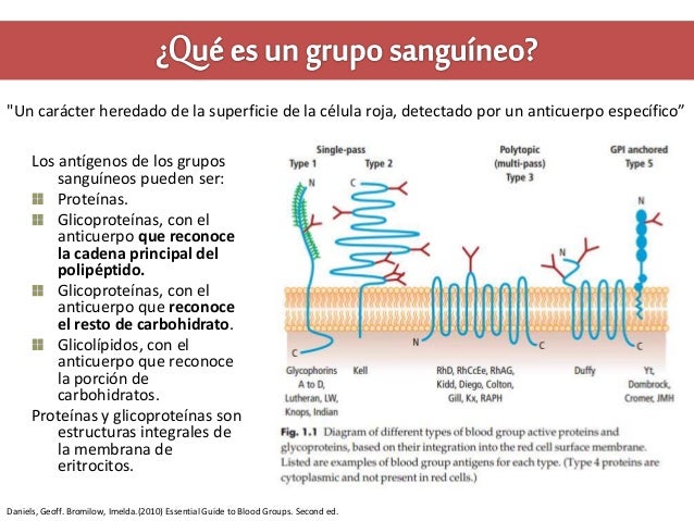 Cuales Son Los Carbohidratos Related Keywords - Cuales Son Cuales Son Los Carbohidratos Related Keywords - Cuales Son