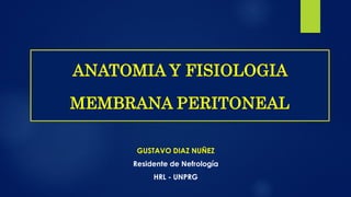 GUSTAVO DIAZ NUÑEZ
Residente de Nefrología
HRL - UNPRG
ANATOMIA Y FISIOLOGIA
MEMBRANA PERITONEAL
 