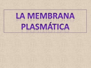 La membrana plasmática 