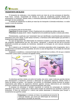 TRANSPORTE EM BLOCO

      O transporte de moléculas e íons isolados ocorre por meio de um dos processos já descritos.
Pode haver, contudo, necessidade de entrada ou saída de substâncias grandes demais para
atravessarem a membrana. Nesses casos, a membrana plasmática sofre modificações que permitem a
passagem de tais substâncias.
      A entrada de substâncias na célula por esse tipo de transporte é chamada endocitose, e a saída
recebe o nome de exocitose.

ENDOCITOSE

     A endocitose pode ser de dois tipos:
     Fagocitose (do grego phagein, comer). Englobamento de substâncias sólidas pela célula.
     Pinocitose (do grego pinein, beber). Englobamento de substâncias líquidas e solutos pela célula.

      Primeiramente, a partícula a ser “endocitada” deve ser identificada e reconhecida pela membrana
plasmática como útil à célula. A partir desse momento, a membrana sofre deformações que permitem o
englobamento dessa substância.
      No caso da fagocitose, tais deformações da membrana recebem o nome de pseudópodos. Estes
são projeções citoplasmáticas que vão, aos poucos, “abraçando” o alimento até que ele se encontre
totalmente envolvido por porções de membrana, resultando na formação de uma vesícula chamada
fagossomo.
      Se o material a ser “endocitado” for líquido, a membrana plasmática sofre invaginações, isto é,
alongamentos e enrolamentos que resultarão, tal como no caso da fagocitose, na formação de vesículas
(os pinossomos).
      Englobada a substância, a vesícula formada deve aprofundar-se na célula, a fim de que o material
“endocitado” possa sofrer o processo de digestão celular.




                      Fagocitose                                    Pinocitose

      A endocitose permite à célula uma série de funções, tais como: captar moléculas grandes demais
para atravessarem a membrana; promover a destruição de organismos estranhos, células mortas e
restos de células ou tecidos – por exemplo, nos animais, os macrófagos (células brancas do sangue,
responsáveis pela defesa do organismo) eliminam agentes nocivos, destruindo-os por endocitose;
promover o trânsito de macromoléculas compartimentalizadas pela célula.
      O processo de endocitose é também importante no controle da composição da membrana
plasmática. Ele ocorre à medida que a célula perde porções da membrana por exocitose e ganha por
endocitose. O fluxo de membrana é o retorno das partes destinadas à endocitose para compor o
revestimento da superfície celular.

                    Endocitose é a entrada, em bloco, de substâncias de tamanho
                    molecular elevado, que ocorre por deformação da membrana
                                                   13
                    plasmática e formação de vesículas.
 