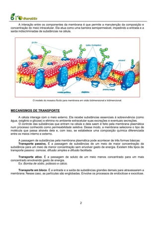 A interação entre os componentes da membrana é que permite a manutenção da composição e
concentração do meio intracelular. Ela atua como uma barreira semipermeável, impedindo a entrada e a
saída indiscriminadas de substâncias na célula.




                O modelo do mosaico fluído para membrana em visão bidimensional e tridimencional.



MECANISMOS DE TRANSPORTE

      A célula interage com o meio externo. Ela recebe substâncias essenciais à sobrevivência (como
água, oxigênio e glicose) e elimina no ambiente extracelular suas excreções e eventuais secreções.
      O controle das substâncias que entram na célula e dela saem é feito pela membrana plasmática
num processo conhecido como permeabilidade seletiva. Desse modo, a membrana seleciona o tipo de
molécula que passa através dela e, com isso, se estabelece uma composição química diferenciada
entre os meios interno e externo.

      A passagem de substâncias pela membrana plasmática pode acontecer de três formas básicas:
      Transporte passivo. É a passagem de substâncias de um meio de maior concentração da
substância para um meio de menor concentração sem envolver gasto de energia. Existem três tipos de
transporte passivo: osmose, difusão simples e difusão facilitada.

     Transporte ativo. É a passagem de soluto de um meio menos concentrado para um mais
concentrado envolvendo gasto de energia.
     Ex: Bomba de sódio, potássio e cálcio.

    Transporte em bloco. É a entrada e a saída de substâncias grandes demais para atravessarem a
membrana. Nesse caso, as partículas são englobadas. Envolve os processos de endocitose e exocitose.




                                                           2
 