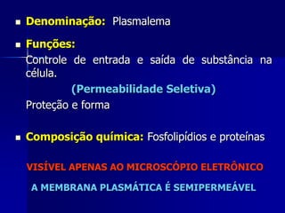    Denominação: Plasmalema

   Funções:
    Controle de entrada e saída de substância na
    célula.
             (Permeabilidade Seletiva)
    Proteção e forma

   Composição química: Fosfolipídios e proteínas

    VISÍVEL APENAS AO MICROSCÓPIO ELETRÔNICO

     A MEMBRANA PLASMÁTICA É SEMIPERMEÁVEL
 