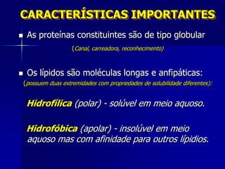 CARACTERÍSTICAS IMPORTANTES
    As proteínas constituintes são de tipo globular
                      (Canal, carreadora, reconhecimento)



    Os lípidos são moléculas longas e anfipáticas:
    (possuem duas extremidades com propriedades de solubilidade diferentes):


     Hidrofílica (polar) - solúvel em meio aquoso.

     Hidrofóbica (apolar) - insolúvel em meio
     aquoso mas com afinidade para outros lípidios.
 