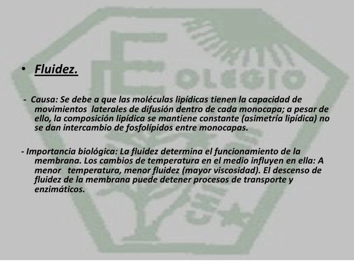 Membrana plasmatica