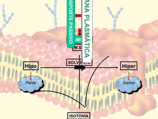 NSPORTE PASSIVO


                             ANA PLASMÁTICA
                             ANA PLASMÁTICA
          OSMOSE
                          M.S.P


        SOLV ENTE
Hipo                                          Hiper


Perde                                         Ganha




           ISOTONIA
 