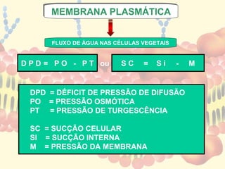 MEMBRANA PLASMÁTICA
      MEMBRANA PLASMÁTICA


      FLUXO DE ÁGUA NAS CÉLULAS VEGETAIS


D P D = P O - P T ou      SC    =   Si     -   M


  DPD = DÉFICIT DE PRESSÃO DE DIFUSÃO
  PO = PRESSÃO OSMÓTICA
  PT = PRESSÃO DE TURGESCÊNCIA

  SC = SUCÇÃO CELULAR
  SI = SUCÇÃO INTERNA
  M = PRESSÃO DA MEMBRANA
 