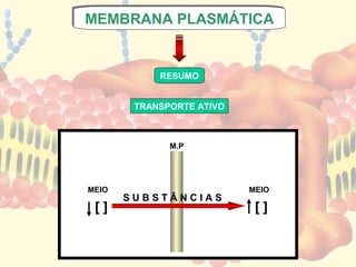 MEMBRANA PLASMÁTICA
MEMBRANA PLASMÁTICA


            RESUMO


        TRANSPORTE ATIVO



              M.P




MEIO                       MEIO
       SUBSTÂNCIAS
 []                         []
 