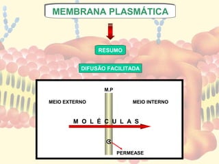 MEMBRANA PLASMÁTICA
MEMBRANA PLASMÁTICA



               RESUMO


          DIFUSÃO FACILITADA


                 M.P

MEIO EXTERNO               MEIO INTERNO



       M O L É C U L A S




                       PERMEASE
 