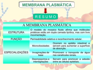 MEMBRANA PLASMÁTICA
             MEMBRANA PLASMÁTICA


                      RESUMO

             A MEMBRANA PLASMÁTICA
                  O modelo do mosaico fluido afirma que moléculas
  ESTRUTURA       protéicas estão em dupla camada lipídica, mas com livre
                  movimentação.
    FUNÇÃO        Permeabilidade seletiva e reconhecimento celular.
                                       Ocorrem no epitélio intestinal e
                   Microvilosidades    servem para aumentar a superfície
                                       de absorção.
ESPECIALIZAÇÕES    Invaginações de     Promovem o transporte de água
                         base          nos canalículos renais.
                   Desmossomos e       Servem para promover a adesão
                    interdigitações    entre as células epiteliais.
 