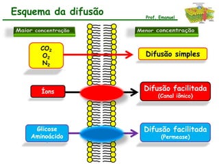 Esquema da difusão   Prof. Emanuel




      CO2
      O2             Difusão simples
      N2



      Íons           Difusão facilitada
                          (Canal iônico)




    Glicose          Difusão facilitada
   Aminoácido              (Permease)
       i
 