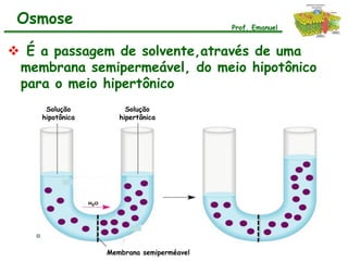 Osmose                                   Prof. Emanuel


 É a passagem de solvente,através de uma
 membrana semipermeável, do meio hipotônico
 para o meio hipertônico
     Solução          Solução
    hipotônica      hipertônica




                 Membrana semiperméavel
 