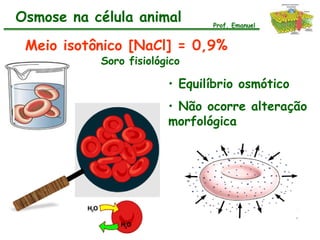 Osmose na célula animal        Prof. Emanuel


 Meio isotônico [NaCl] = 0,9%
           Soro fisiológico

                        • Equilíbrio osmótico
                        • Não ocorre alteração
                        morfológica
 