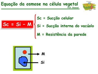 Equação da osmose na célula vegetal
                                Prof. Emanuel




                Sc = Sucção celular
Sc = Si – M     Si = Sucção interna do vacúolo

                M = Resistência da parede




                  M

                  Si
 