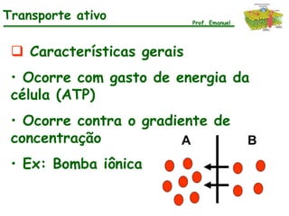 Transporte ativo            Prof. Emanuel




  Características gerais
 • Ocorre com gasto de energia da
 célula (ATP)
 • Ocorre contra o gradiente de
 concentração            A                  B
 • Ex: Bomba iônica
 