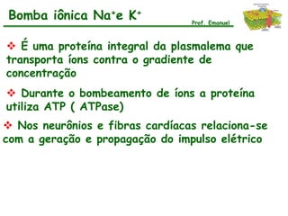Bomba iônica Na+e K+             Prof. Emanuel



 É uma proteína integral da plasmalema que
transporta íons contra o gradiente de
concentração
 Durante o bombeamento de íons a proteína
utiliza ATP ( ATPase)
 Nos neurônios e fibras cardíacas relaciona-se
com a geração e propagação do impulso elétrico
 