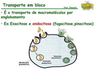 Transporte em bloco              Prof. Emanuel

• É o transporte de macromoléculas por
englobamento
• Ex.Exocitose e endocitose (fagocitose,pinocitose)
 