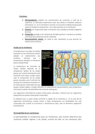 Funciones:
1. Microambiente: modifica las concentración de sustancias a nivel de la
superficie, su naturaleza polianionica hace que afecte el ambiente catiónico
extracelular. ej.: en la membrana muscular se encuentra rodeada de glucocalix
capaz de atrapar los cationes Na + .los cuales penetran en la membrana.
2. Enzimas: en el glucocalix delos entreocitos hay actividad enzimática digestiva
terminal.
3. Protección: protege a las membranas del daño químico o mecánico y también
contribuye para distancias ciertas moléculas.
4. Reconocimiento celular: sin duda la más importante ya que permite las
interacciones celulares.
Fluidez de la membrana:
A temperaturas muy bajas los lípidos
presentes en las membranas tienden
adoptar un ordenamiento casi
cristalino, mientras que a
temperaturas elevadas la membrana
pasa al estado fluido.
La temperatura de transición de
ambos estados depende de la
composición lipídica de los ácidos
grasos, por lo tanto la temperatura de
transición será mayor cunado mayor
sean la composición de los ácidos
grasos saturados, por el contrario los
cambios de orientación existentes en
los ácidos grasos insaturados (los que
poseen enlaces dobles o triples) dificultan el ordenamiento (paracristalino), esta temperatura
será menos cuando más abundante sea el tipo de ácido graso.
Los organismos homeotermos poseen ácidos graos saturados, mientras que los organismos
poiquilotermos poseen ácidos graso insaturados.
El colesterol por su parte tiende aumentar la rigidez de la membrana y en el caso de los
organismos procarioticos cuando crecen a bajas temperaturas sus fosfolípidos son más
insaturados que cuando se encuentran a temperaturas altas, esto se denomina adaptación
homeoviscosa
Permeabilidad de las membranas:
La permeabilidad es fundamental para las membranas, esta función determina que
sustancias pueden ingresar a las células, muchas de ellas no son necesarias para
 