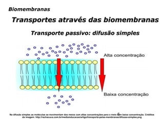 6
Biomembranas
Transportes através das biomembranasTransportes através das biomembranas
Transporte passivo: difusão simplesTransporte passivo: difusão simples
Na difusão simples as moléculas se movimentam dos meios com altas concentrações para o meio com baixa concentração. Créditos
da imagem: http://rachacuca.com.br/media/educacao/artigo/transporte-pelas-membranas/difusao-simples.png
 