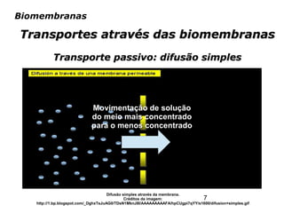 7
Biomembranas
Transportes através das biomembranasTransportes através das biomembranas
Transporte passivo: difusão simplesTransporte passivo: difusão simples
Difusão simples através da membrana.
Créditos da imagem:
http://1.bp.blogspot.com/_DghxTsJuAG0/TDsN1MknJ8I/AAAAAAAAAFA/hpCUgpi7qYY/s1600/difusion+simples.gif
Movimentação de soluçãoMovimentação de solução
do meio mais concentradodo meio mais concentrado
para o menos concentradopara o menos concentrado
 