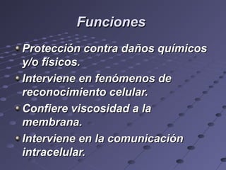 FuncionesFunciones
Protección contra daños químicosProtección contra daños químicos
y/o físicos.y/o físicos.
Interviene en fenómenos deInterviene en fenómenos de
reconocimiento celular.reconocimiento celular.
Confiere viscosidad a laConfiere viscosidad a la
membrana.membrana.
Interviene en la comunicaciónInterviene en la comunicación
intracelular.intracelular.
 