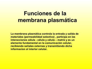 Funciones de la
membrana plasmática
La membrana plasmática controla la entrada y salida de
materiales (permeabilidad selectiva) , participa en las
interacciones célula - célula y célula – matriz y es un
elemento fundamental en la comunicación celular,
recibiendo señales externas y transmitiendo dicha
informacion al interior celular.
 