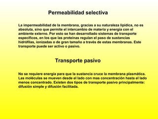 Transporte pasivo
No se requiere energía para que la sustancia cruce la membrana plasmática.
Las moléculas se mueven desde el lado con mas concentración hasta el lado
menos concentrado. Existen dos tipos de transporte pasivo principalmente:
difusión simple y difusión facilitada.
Permeabilidad selectiva
La impermeabilidad de la membrana, gracias a su naturaleza lipídica, no es
absoluta, sino que permite el intercambio de materia y energía con el
ambiente externo. Por esto se han desarrollado sistemas de transporte
específicos, en los que las proteínas regulan el paso de sustancias
hidrófilas, ionizadas o de gran tamaño a través de estas membranas. Este
transporte puede ser activo o pasivo.
 