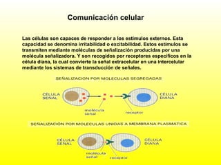 Comunicación celular
Las células son capaces de responder a los estímulos externos. Esta
capacidad se denomina irritabilidad o excitabilidad. Estos estímulos se
transmiten mediante moléculas de señalización producidas por una
molécula señalizadora. Y son recogidos por receptores específicos en la
célula diana, la cual convierte la señal extracelular en una intercelular
mediante los sistemas de transducción de señales.
 
