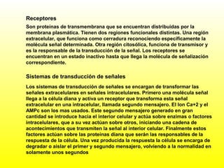 Receptores
Son proteínas de transmembrana que se encuentran distribuidas por la
membrana plasmática. Tienen dos regiones funcionales distintas. Una región
extracelular, que funciona como cerradura reconociendo específicamente la
molécula señal determinada. Otra región citosólica, funciona de transmisor y
es la responsable de la transducción de la señal. Los receptores se
encuentran en un estado inactivo hasta que llega la molécula de señalización
correspondiente.
Los sistemas de transducción de señales se encargan de transformar las
señales extracelulares en señales intracelulares. Primero una molécula señal
llega a la célula diana y activa un receptor que transforma esta señal
extracelular en una intracelular, llamada segundo mensajero. El Ion Ca+2 y el
AMPc son los mas usados. Este segundo mensajero generado en gran
cantidad se introduce hacia el interior celular y actúa sobre enzimas o factores
intracelulares, que a su vez actúan sobre otros, iniciando una cadena de
acontecimientos que transmiten la señal al interior celular. Finalmente estos
factores actúan sobre las proteínas diana que serán las responsables de la
respuesta de la célula. Una vez producida la respuesta la célula se encarga de
degradar o aislar el primer y segundo mensajero, volviendo a la normalidad en
solamente unos segundos
Sistemas de transducción de señales
 