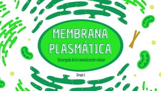 MEMBRANA
PLASMÁTICA
MEMBRANA
PLASMÁTICA
Encargadadelacomunicacióncelular
Grupo1
 
