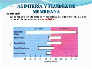 ASIMTERÍA Y FLUIDEZ DE MEMBRANA ASIMETRÍA La composición de lípidos y proteínas es diferente en las dos caras de la membrana: es  asimétrica 