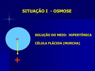 SITUAÇÃO I - OSMOSE




        SOLUÇÃO DO MEIO: HIPERTÔNICA
-       CÉLULA FLÁCIDA (MURCHA)




+
 