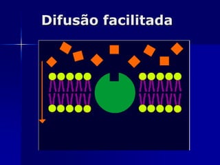 Difusão facilitada
 