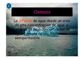 Osmosis
La difusion de agua desde un area
de alta concentracion de agua a
un area de baja concentracion de
agua a través de una membrana
semipermeable
 