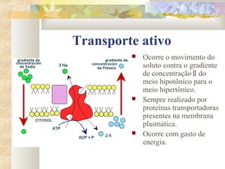 Transporte ativo
 Ocorre o movimento do
soluto contra o gradiente
de concentração  do
meio hipotônico para o
meio hipertônico.
 Sempre realizado por
proteínas transportadoras
presentes na membrana
plasmática.
 Ocorre com gasto de
energia.
 