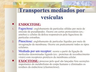 Transportes mediados por
vesículas
 ENDOCITOSE:
1. Fagocitose: englobamento de partículas sólidas por meio de
emissão de pseudópodes. Ocorre em certos protozoários (ex.:
amebas) e células da defesa responsáveis pela fagocitose de
partículas estranhas.
2. Pinocitose: englobamento de partículas líquidas por meio de
invaginação da membrana. Ocorre em praticamente todos os tipos
celulares.
3. Mediada por um receptor: ocorre a partir da ligação de
moléculas denominadas ligando (ex.: proteínas de reconhecimento
virais) com receptores protéicos da membrana celular.
 EXOCITOSE: processo pelo qual são lançadas fora secreções
importantes do metabolismo do corpo humano e eliminados os
resíduos da endocitose (clasmocitose).
 