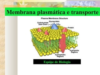 Membrana plasmática e transporte
Equipe de Biologia
 